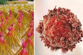 Chỉ mặt 5 đồ vật có mùi thơm nhưng cực kì độc hại, có thể gây ung thư Chỉ mặt 5 đồ vật có mùi thơm nhưng cực kì độc hại, có thể gây ung thư