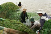 Đắk Lắk: Nước mắt người dân trong mùa lũ Đắk Lắk: Nước mắt người dân trong mùa lũ
