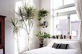 Phòng ngủ nổi bật cho nhà phố hẹp nhờ biến tấu cổ điển và cây xanh Phòng ngủ nổi bật cho nhà phố hẹp nhờ biến tấu cổ điển và cây xanh