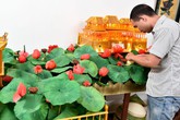 Chàng trai 8x bỏ công việc "ngàn đô" và hành trình đi tìm hoa sen “bất tử” Chàng trai 8x bỏ công việc "ngàn đô" và hành trình đi tìm hoa sen “bất tử”