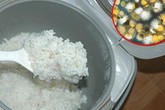 Rất nhiều người không biết những điều này khi nấu cơm, ăn cơm nguội Rất nhiều người không biết những điều này khi nấu cơm, ăn cơm nguội