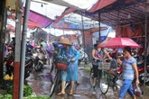 Lý do khiến giá rau xanh Hà Nội tăng bất thường Lý do khiến giá rau xanh Hà Nội tăng bất thường