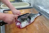 Suýt thiệt mạng sau khi ăn cá tự nấu, chuyên gia chỉ rõ những hải sản dễ bị ngộ độc khi ăn Suýt thiệt mạng sau khi ăn cá tự nấu, chuyên gia chỉ rõ những hải sản dễ bị ngộ độc khi ăn