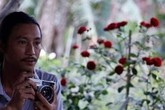 Chàng họa sĩ trồng hơn 1.000 gốc hồng trong vườn để lấy cảm hứng vẽ tranh Chàng họa sĩ trồng hơn 1.000 gốc hồng trong vườn để lấy cảm hứng vẽ tranh