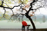Thông tin mới nhất về gió mùa đông bắc đổ bộ xuống Bắc Bộ Thông tin mới nhất về gió mùa đông bắc đổ bộ xuống Bắc Bộ