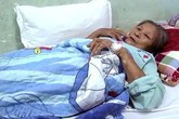 Nhiều người nhập viện khẩn cấp vì bị ong vò vẽ dồn dập tấn công Nhiều người nhập viện khẩn cấp vì bị ong vò vẽ dồn dập tấn công
