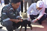 54 người Việt chết vì bệnh truyền nhiễm lâu đời và đáng sợ nhất lịch sử nhân loại 54 người Việt chết vì bệnh truyền nhiễm lâu đời và đáng sợ nhất lịch sử nhân loại