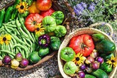 Cô giáo trẻ xinh đẹp yêu làm vườn, thích nấu ăn và giấc mơ được trồng rau quả sạch suốt cuộc đời Cô giáo trẻ xinh đẹp yêu làm vườn, thích nấu ăn và giấc mơ được trồng rau quả sạch suốt cuộc đời