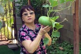 Khu vườn xum xuê cây trái trong căn nhà ở Mỹ của nữ danh ca có chồng làm kỹ sư cơ khí hàng không Khu vườn xum xuê cây trái trong căn nhà ở Mỹ của nữ danh ca có chồng làm kỹ sư cơ khí hàng không