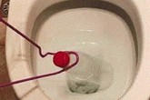Lấy chai nhựa vứt xuống bồn cầu, 10 phút sau vợ hớt hải gọi chồng ra xem điều đặc biệt Lấy chai nhựa vứt xuống bồn cầu, 10 phút sau vợ hớt hải gọi chồng ra xem điều đặc biệt