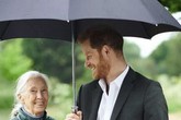 Hoàng tử Harry tuyên bố: Chỉ sinh 2 con để bảo vệ môi trường, cứu lấy hành tinh khiến cộng đồng mạng phẫn nộ Hoàng tử Harry tuyên bố: Chỉ sinh 2 con để bảo vệ môi trường, cứu lấy hành tinh khiến cộng đồng mạng phẫn nộ