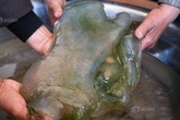 Đổi đời sau một đêm: Kho báu hàng chục tỷ ẩn mình ở nơi chẳng ngờ Đổi đời sau một đêm: Kho báu hàng chục tỷ ẩn mình ở nơi chẳng ngờ