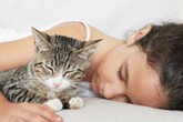 Phòng ngừa nhiễm giun sán từ chó mèo? Phòng ngừa nhiễm giun sán từ chó mèo?