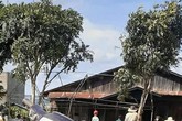 Anh trai chém em trọng thương rồi tử vong trong tư thế treo cổ Anh trai chém em trọng thương rồi tử vong trong tư thế treo cổ