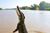 Hãi hùng khoảnh khắc bé trai 10 tuổi đang ngồi trên thuyền thì bị cá sấu lôi xuống nước ăn thịt, người nhà bất lực, chỉ lo chạy thoát thân Hãi hùng khoảnh khắc bé trai 10 tuổi đang ngồi trên thuyền thì bị cá sấu lôi xuống nước ăn thịt, người nhà bất lực, chỉ lo chạy thoát thân