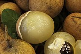 Đua nhau tìm mua nhãn có cùi xếp lớp như bắp cải Đua nhau tìm mua nhãn có cùi xếp lớp như bắp cải