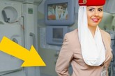 Vì sao tiếp viên hàng không thường khoanh tay sau lưng khi chào khách? Vì sao tiếp viên hàng không thường khoanh tay sau lưng khi chào khách?