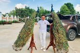 Đến thà thờ Tổ của Hoài Linh muộn, Đàm Vĩnh Hưng 'chơi trội' với vật phẩm khác người và hành động gây sửng sốt với đàn anh Đến thà thờ Tổ của Hoài Linh muộn, Đàm Vĩnh Hưng 'chơi trội' với vật phẩm khác người và hành động gây sửng sốt với đàn anh