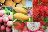 6 loại trái cây tươi ở Việt Nam đã được xuất khẩu thành công với giá bán "khó tin" 6 loại trái cây tươi ở Việt Nam đã được xuất khẩu thành công với giá bán "khó tin"