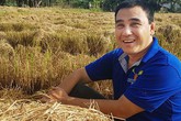 Đồ dùng trong nhà Quyền Linh toàn hàng tài trợ Đồ dùng trong nhà Quyền Linh toàn hàng tài trợ