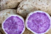 Bất ngờ củ khoai lang ruột màu tím lịm giá đắt gấp 20 lần Bất ngờ củ khoai lang ruột màu tím lịm giá đắt gấp 20 lần