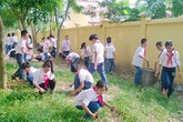 Phụ huynh đồng ý, giáo viên mới phạt học trò Phụ huynh đồng ý, giáo viên mới phạt học trò
