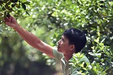 Hóng chuyện ở chợ, 7 năm sau anh nông dân đã thành tỷ phú Hóng chuyện ở chợ, 7 năm sau anh nông dân đã thành tỷ phú