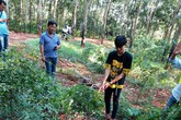 Lời khai nghi phạm sát hại thiếu nữ trong lô cao su Lời khai nghi phạm sát hại thiếu nữ trong lô cao su