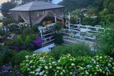 Người phụ nữ 40 tuổi nghỉ hưu sớm, dùng tiền dành dụm cả đời để đổi lấy khu vườn rực rỡ như thiên đường trên đồi hướng biển Người phụ nữ 40 tuổi nghỉ hưu sớm, dùng tiền dành dụm cả đời để đổi lấy khu vườn rực rỡ như thiên đường trên đồi hướng biển