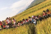 Tiết học ngập sắc vàng khiến trẻ em phố thị khát khao Tiết học ngập sắc vàng khiến trẻ em phố thị khát khao