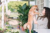 Mạnh mẽ đưa ra quyết định bỏ phố về quê, cô gái 9x đã đem lại những ngày thảnh thơi cho cha mẹ bên khu vườn rộng 6000m² Mạnh mẽ đưa ra quyết định bỏ phố về quê, cô gái 9x đã đem lại những ngày thảnh thơi cho cha mẹ bên khu vườn rộng 6000m²