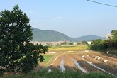 Giá đất xung quanh 'trang trại 300 tỷ' của sư thầy Thích Thanh Toàn đắt thế nào? Giá đất xung quanh 'trang trại 300 tỷ' của sư thầy Thích Thanh Toàn đắt thế nào?