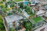 Tận dụng mái nhà bỏ hoang, người phụ nữ 45 tuổi đã biến toàn bộ không gian thành "khu vườn địa đàng" Tận dụng mái nhà bỏ hoang, người phụ nữ 45 tuổi đã biến toàn bộ không gian thành "khu vườn địa đàng"
