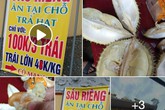 Mua sầu riêng trả hạt: Nếu là người tiêu dùng thông minh, tuyệt đối đừng bỏ qua Mua sầu riêng trả hạt: Nếu là người tiêu dùng thông minh, tuyệt đối đừng bỏ qua