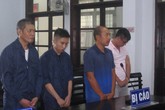 Môi giới khách Nga bán dâm, 4 'tú ông' lãnh án Môi giới khách Nga bán dâm, 4 'tú ông' lãnh án