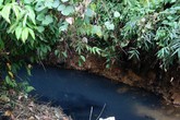 Mùi khủng khiếp ở đồi Mông, nơi xả thải xuống nhà máy nước sông Đà Mùi khủng khiếp ở đồi Mông, nơi xả thải xuống nhà máy nước sông Đà