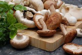 5 loại nấm tốt nhất cho sức khỏe ngừa chất gây ung thư loại 1, giúp trẻ thông minh hơn 5 loại nấm tốt nhất cho sức khỏe ngừa chất gây ung thư loại 1, giúp trẻ thông minh hơn