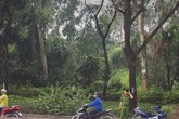 Hiện trường phát hiện thi thể người đàn ông tử vong trong tư thế treo cổ ở khu đất vắng Hiện trường phát hiện thi thể người đàn ông tử vong trong tư thế treo cổ ở khu đất vắng
