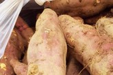 Bán bao khoai được cả túi bạc, người đàn ông tưởng phát tài, nào ngờ tự đẩy mình vào chỗ chết Bán bao khoai được cả túi bạc, người đàn ông tưởng phát tài, nào ngờ tự đẩy mình vào chỗ chết