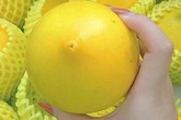 Bí mật chưa từng biết về vú sữa hoàng kim 1 triệu đồng/kg Bí mật chưa từng biết về vú sữa hoàng kim 1 triệu đồng/kg