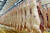 200 ngàn/kg thịt lợn, chưa bao giờ như cái Tết này 200 ngàn/kg thịt lợn, chưa bao giờ như cái Tết này