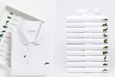 Lacoste thay logo cá sấu truyền thống bằng 10 loại động vật sắp tuyệt chủng Lacoste thay logo cá sấu truyền thống bằng 10 loại động vật sắp tuyệt chủng