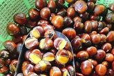 Hạt dẻ Trung Quốc gắn mác Sapa đổ về Việt Nam số lượng lớn để phục vụ Tết Nguyên Đán Hạt dẻ Trung Quốc gắn mác Sapa đổ về Việt Nam số lượng lớn để phục vụ Tết Nguyên Đán