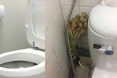 Quên sáp thơm đi, đây là 4 sản phẩm thiên nhiên khiến nhà vệ sinh thơm suốt tuần mà chẳng tốn nhiều tiền Quên sáp thơm đi, đây là 4 sản phẩm thiên nhiên khiến nhà vệ sinh thơm suốt tuần mà chẳng tốn nhiều tiền