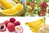 Ăn hoa quả dễ có nồng độ cồn ngày Tết, sau bao lâu thì ra đường cho chắc ăn 'không dính án phạt'? Ăn hoa quả dễ có nồng độ cồn ngày Tết, sau bao lâu thì ra đường cho chắc ăn 'không dính án phạt'?