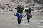 Băng rừng, vượt suối hái lá dong Băng rừng, vượt suối hái lá dong