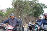 Người Hải Phòng chi chục triệu, trăm triệu chơi đào phai Người Hải Phòng chi chục triệu, trăm triệu chơi đào phai