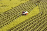 Hoàn thiện Đề án xây dựng Hệ thống cơ sở dữ liệu liên ngành về Đồng bằng sông Cửu Long Hoàn thiện Đề án xây dựng Hệ thống cơ sở dữ liệu liên ngành về Đồng bằng sông Cửu Long
