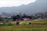 Xuân về trên quê hương cách mạng Kim Bình Xuân về trên quê hương cách mạng Kim Bình
