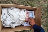 Sáng sớm mở cửa nhà thì phát hiện bé gái sơ sinh bị bỏ rơi Sáng sớm mở cửa nhà thì phát hiện bé gái sơ sinh bị bỏ rơi